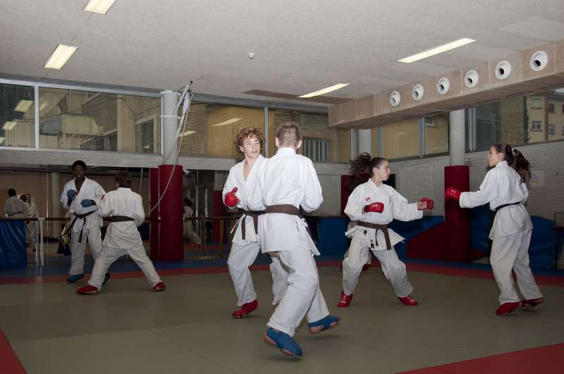 &Eacute;xito del Cursillo de Kumite entre nuestros j&oacute;venes.